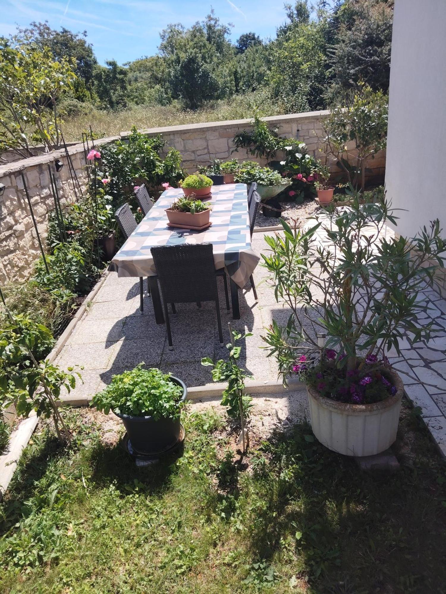 Apartmani Mila-Casa Bianca เมดูลิน ภายนอก รูปภาพ